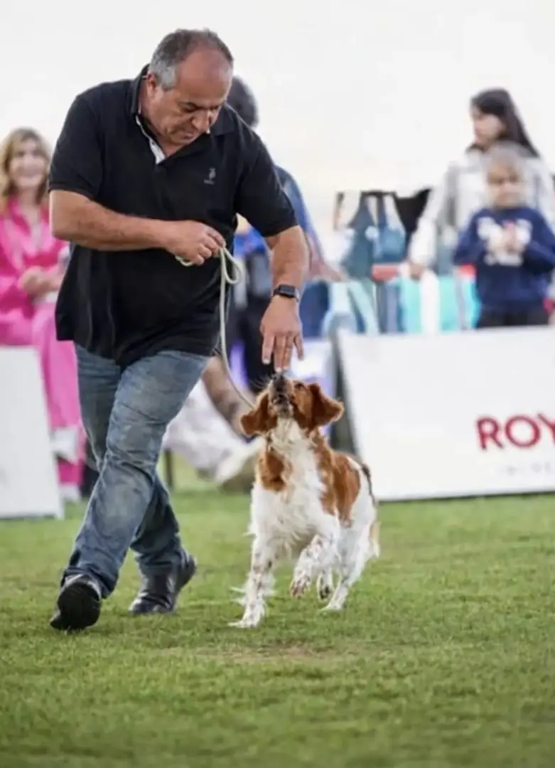 Andreas Demetriou presenting a dog at an organised dog show in Cyprus