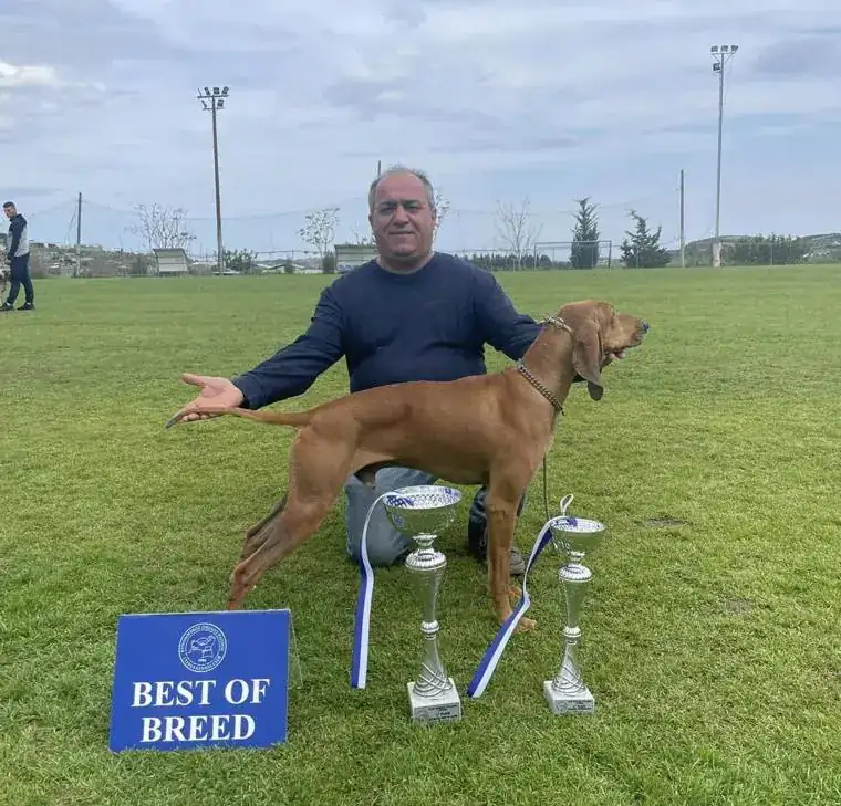 Andreas Demetriou with a Best of Breed winner and trophies, March 2024