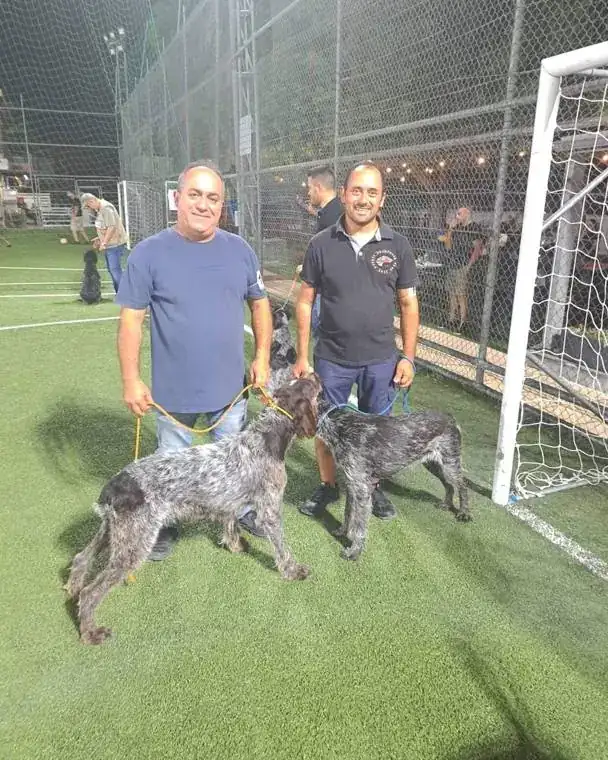 Andreas Demetriou with two German Wirehaired Pointers at a dog show, September 2022