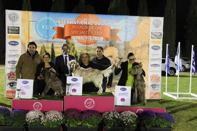 Winners on the podium at the International and National Dog Show, April 2022