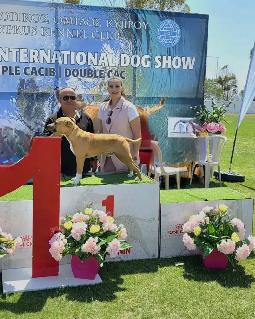 Simba winning Best Puppy of Breed at the Ayia Napa International Dog Show 2025